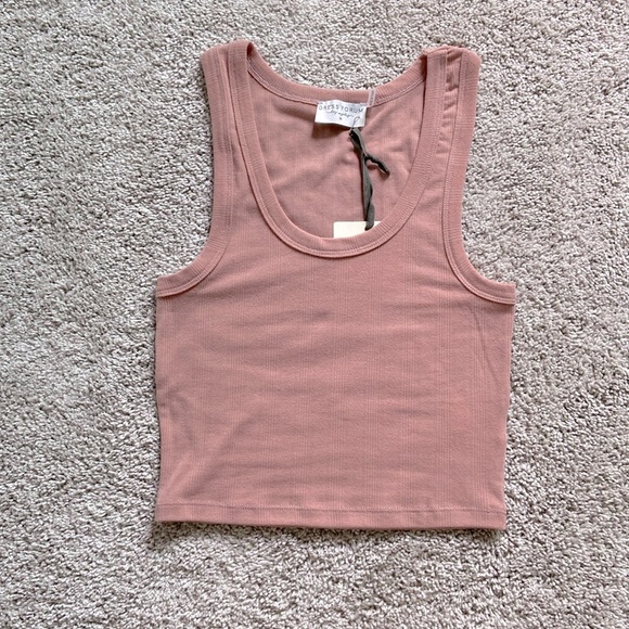Dress Forum Tops - Dress Forum • Dusty Rose Pointelle Cropped Tank